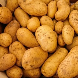 CAISSE 10KG NOUVELLES MONA...