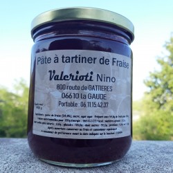 PÂTE A TARTINER FRAISE 250g...