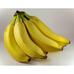 BANANES 2KG