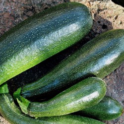 CAISSE 6KG COURGETTES DEMI...