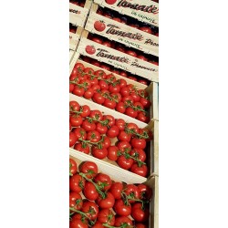 PLATEAU 5KG TOMATES RONDES...