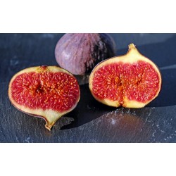 CONFITURE DE FIGUE 220g -...