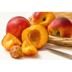 NECTARINES JAUNES PROVENCE...