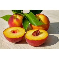 PECHES JAUNE PROVENCE 3.5KG