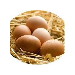 BOÎTE D'OEUFS BIO