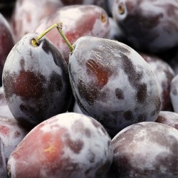 CAISSE 5KG PRUNES NOIRES...