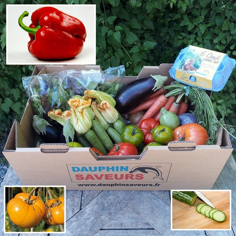 LEGUMES